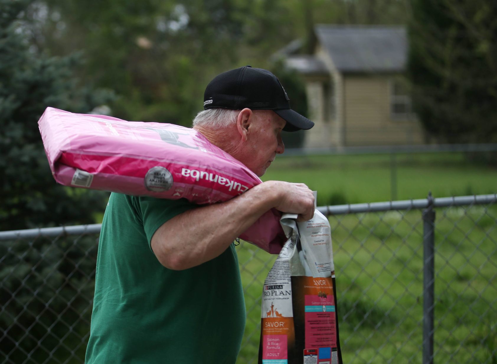 Looking for the helpers: SPCA animal cruelty investigator